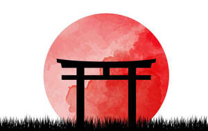 FIN DES INSCRIPTIONS/COURS D'ESSAI